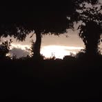 Profile Picture of Alexander Beker (@Alexander-Beker) on Facebook