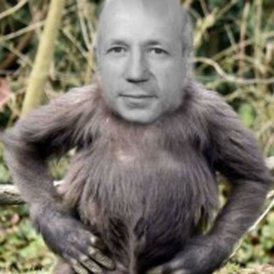 Profile Picture of Melvin Calvin (@Melvin_Calvin16) on Twitter