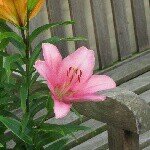 Profile Picture of Julia Böhme (@julia.boehme) on Instagram