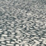 Profile Picture of Patrick Priore (@patrickpriore) on Instagram