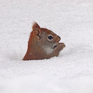 Profile Picture of Yoko Simon (@yoko.simon.5) on Facebook