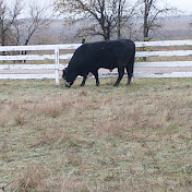 Profile Picture of Julia James (@JuliaJames-zx5xy) on Youtube