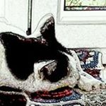 Profile Picture of Eli (@kenbirdi) on Instagram