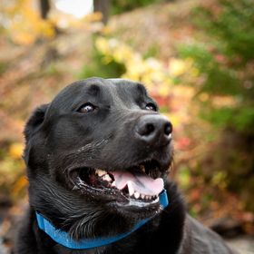 Profile Picture of Kelly Cyr (@lavieenjaune) on Pinterest