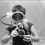 Profile Picture of Mark Potok (@potokmark) on Instagram