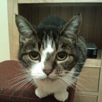 Profile Picture of Jacinta Kennedy (@jacinta-kennedy-1) on Quora