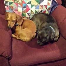 Profile Picture of Nancy Giddings (@SandveGiddings) on Twitter