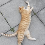 Profile Picture of Daniel Dzik (@daniel.dzik.169) on Facebook