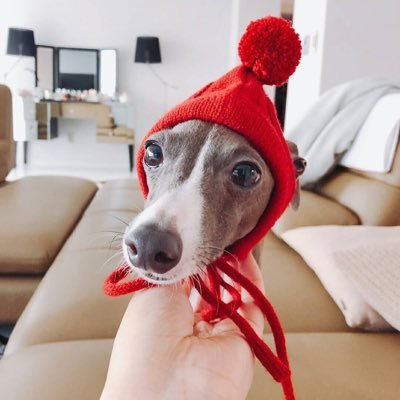 Profile Picture of Eunaa (@ChaeYeEun1) on Twitter