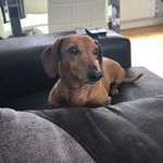 Profile Picture of Tim Barlow (@barlow634) on Instagram