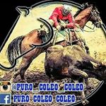 Profile Picture of jaime balza (@puro_coleo_coleo) on Instagram