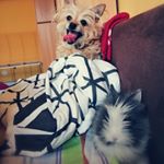 Profile Picture of Lucy&Sandi (@lucy_i_sandi) on Instagram