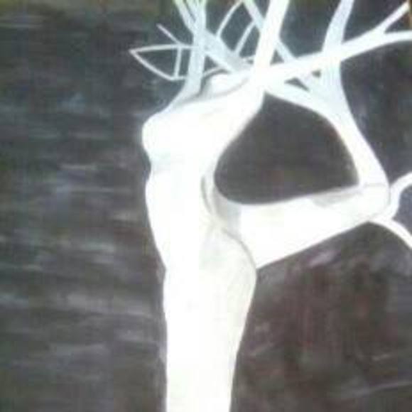 Profile Picture of Anna Kristoffersen (@mythicallady636) on Poshmark