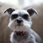 Profile Picture of Mario (@marioluera) on Instagram