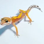 Jonathan - Instagram Profile Picture of Jonathan (@jonathan_syber) on Instagram