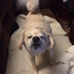 Profile Picture of Jimmy Donahue 💯 (@jimboretameta) on Instagram