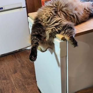 Profile Picture of richardschriever (@richardschriever) on Instagram