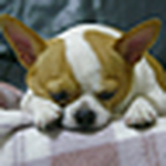 Profile Picture of Lisa Huang (@hlisaung) on Flickr