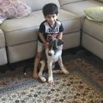 Profile Picture of Balbir VIrk (@virk_balbir) on Instagram