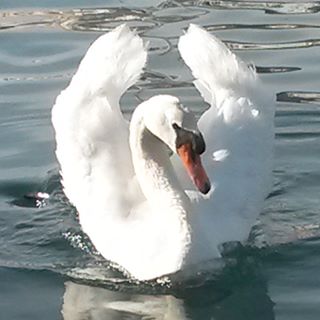 Profile Picture of Sool Larrier (@Sool-Larrier) on Facebook