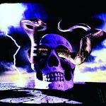 Profile Picture of Andrew Reese (@andrew_reese11) on Instagram