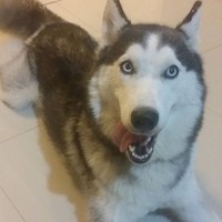 Profile Picture of Jaques Figaro (@jaques-figaro) on Quora