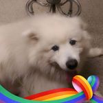 Profile Picture of Craig Berentsen (@ctberentsen) on Instagram