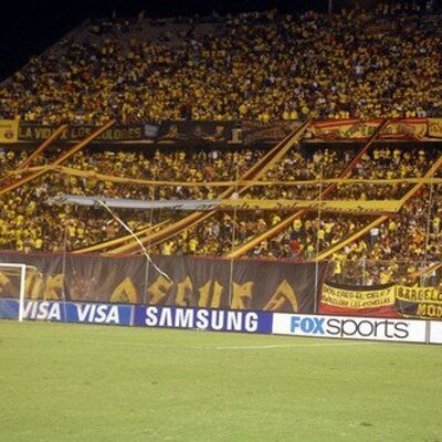 Profile Picture of Nelson Pinos (@nelson_pinos) on Twitter