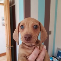 Profile Picture of John-barry Bramley (@john-barry-bramley) on Quora