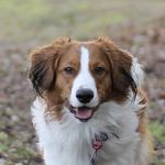 Profile Picture of Skl (@thomas_zuck) on Instagram