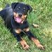 Profile Picture of Tony Rayburn (@tony.rayburn.376) on Facebook