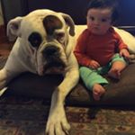 Profile Picture of peter heffernan (@peterheffernan2016) on Instagram