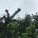 Profile Picture of carly (@cbowden99) on Instagram