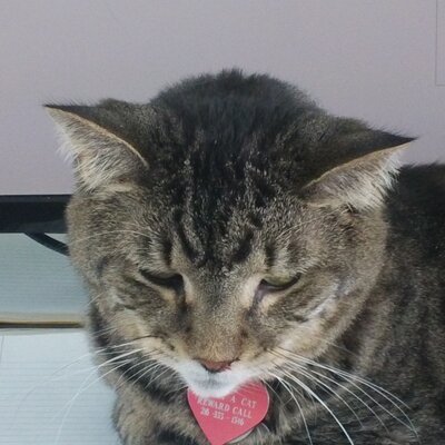 Profile Picture of Stephanie Jaeger (@steph92754) on Twitter