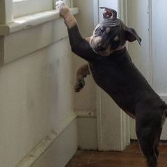 Profile Picture of stevenism (@stevenism8) on Tiktok