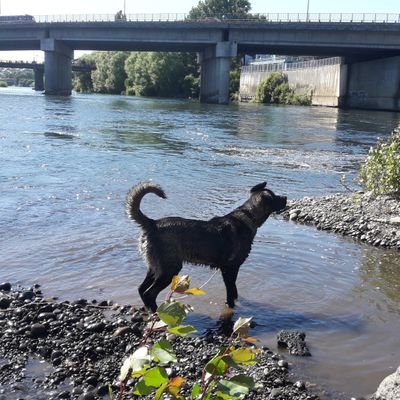 Profile Picture of Raúl Mancilla (@RalMancilla4) on Twitter