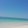 Profile Picture of Terry Parrish (@@terryparrish1) on Tiktok