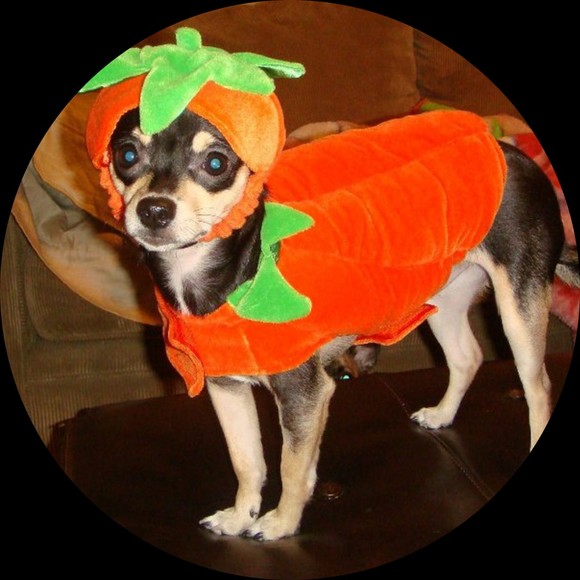 Profile Picture of Aimie Vormittag (@aimie567) on Poshmark