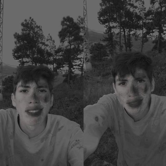 Profile Picture of RichardEllis (@yvetttnwk53) on Tiktok