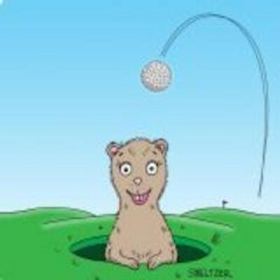 Profile Picture of Steve Smeltzer (@Smeltzercartoon) on Twitter