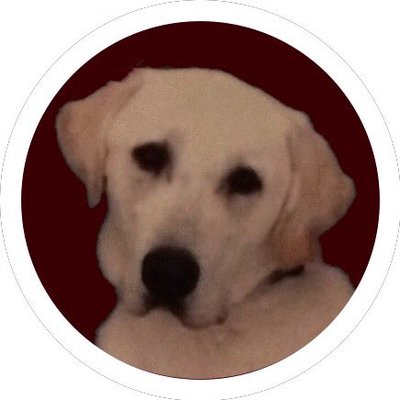 Profile Picture of John Wrobleski (@vrobevski) on Twitter