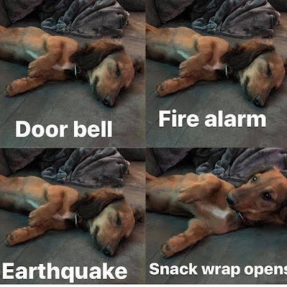 Profile Picture of Logan Carbary (@logan_carbary) on Poshmark