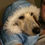 Profile Picture of Jesse arrington (@chrono_drag) on Instagram