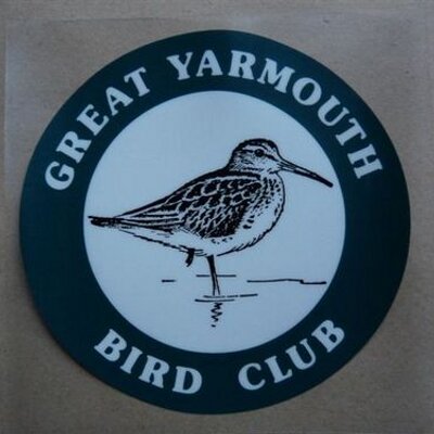 Profile Picture of Peter  Allard (@Yarmouthbirder) on Twitter