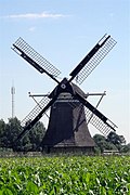 Profile Picture of De Grote Molen, Marrumon Wikipedia