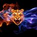 Profile Picture of Josy Sandy Stapleton (@jstapleton12) on Pinterest