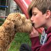Profile Picture of Puppy Account (@@jessefrenky2.0) on Tiktok