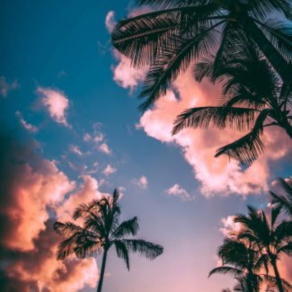 Profile Picture of Bekah Beachey (@bekahbeachey) on Poshmark