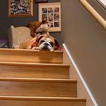 Profile Picture of Steve Grist (@sgristmill) on Instagram