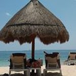 Profile Picture of Tonya McDaniel (@tonya.mcdaniel) on Instagram